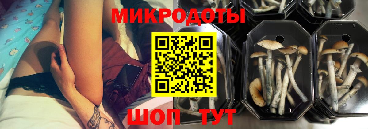 Псилоцибиновые грибы MAGIC MUSHROOMS  Вход с VPN  Тельмана 